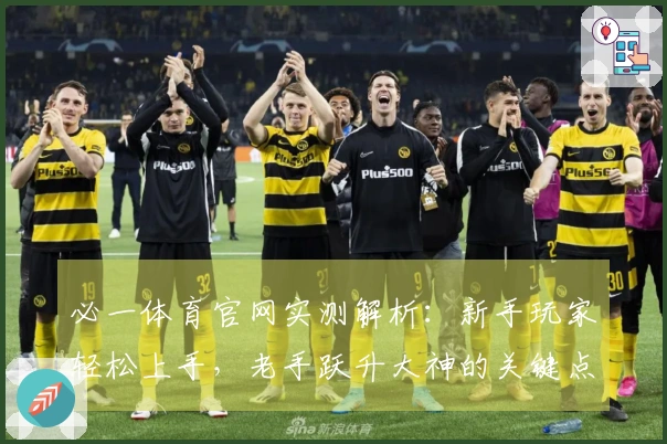 必一体育官网实测解析:新手玩家轻松上手,老手跃升大神的关键点变化